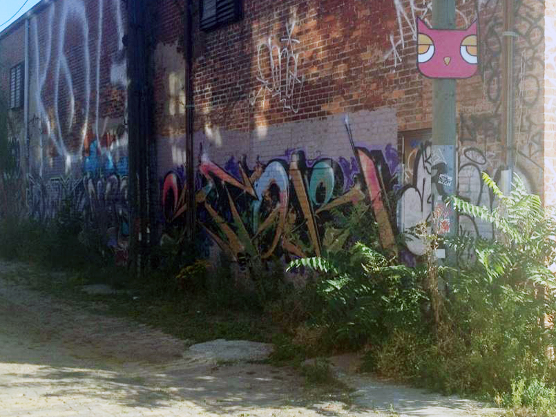 Graffiti in Detroit's Eastern Market. (Credit: Vickie Thomas/WWJ Newsradio 950)