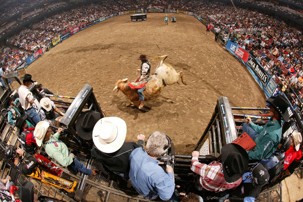 ANAHEIM, CA - FEBRUARY 11:  Ryan McConnell attempts to ride a bull during the final of the PBR Amp'd Mobile Invitational in the 2007 Professional Bull Riders Built Ford Tough Series, at the Honda Center on January 11, 2007 in Anaheim, California.  