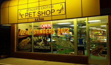 stingers exotics pet shop