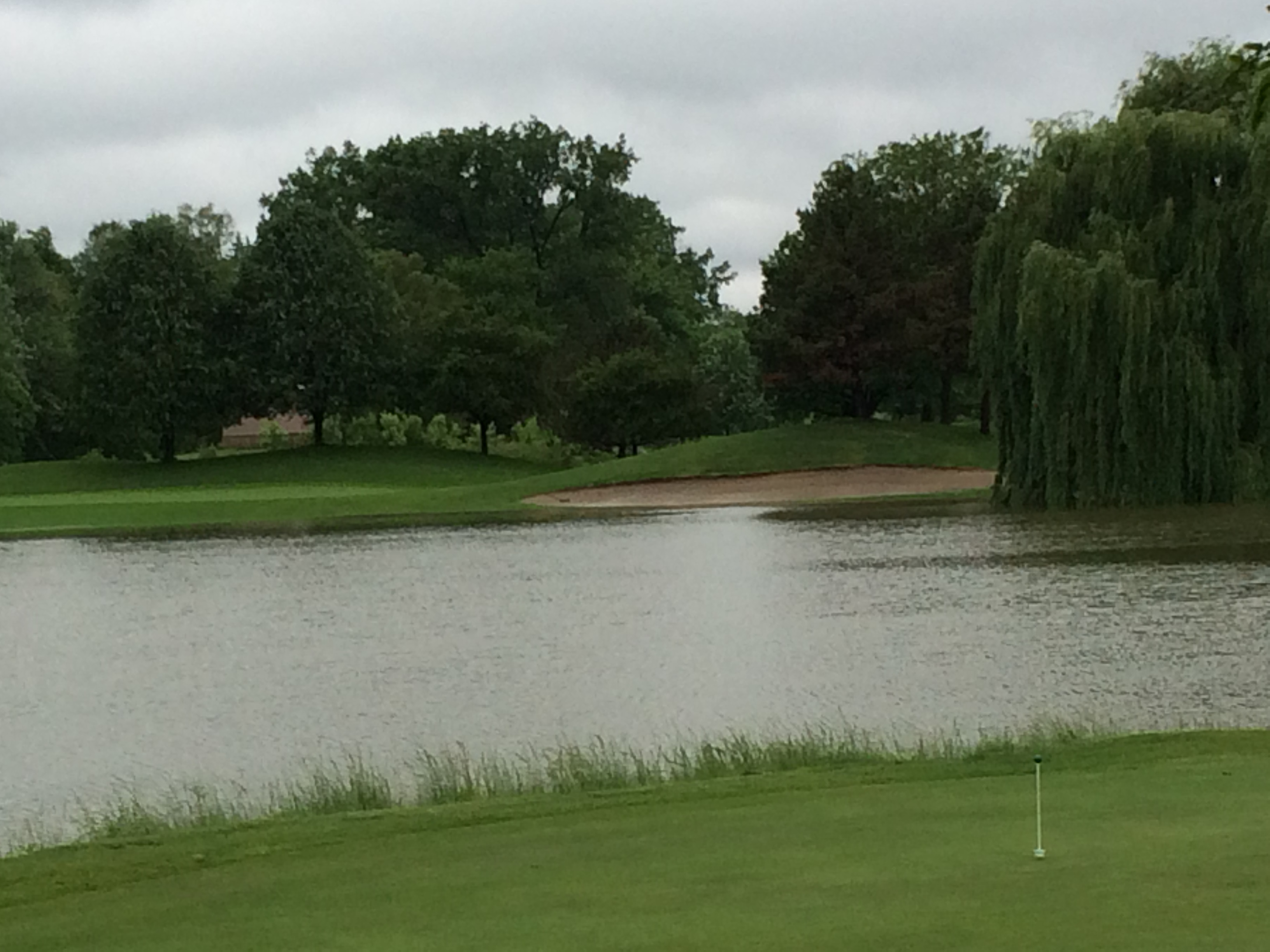 Dearborn Hills Golf Course flooding. (photo: Brooke Allen)