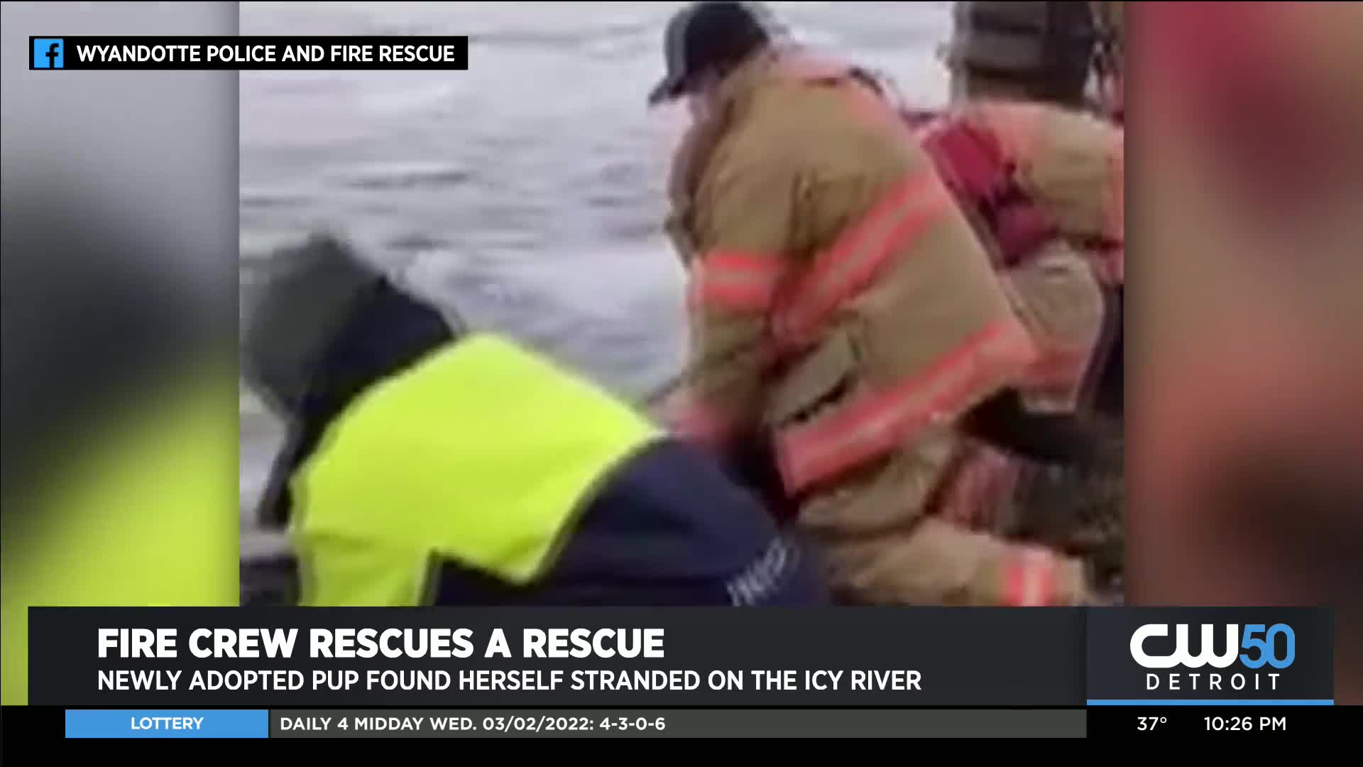 Wyandotte Police, Fire Rescue Dog Stranded In Detroit River
