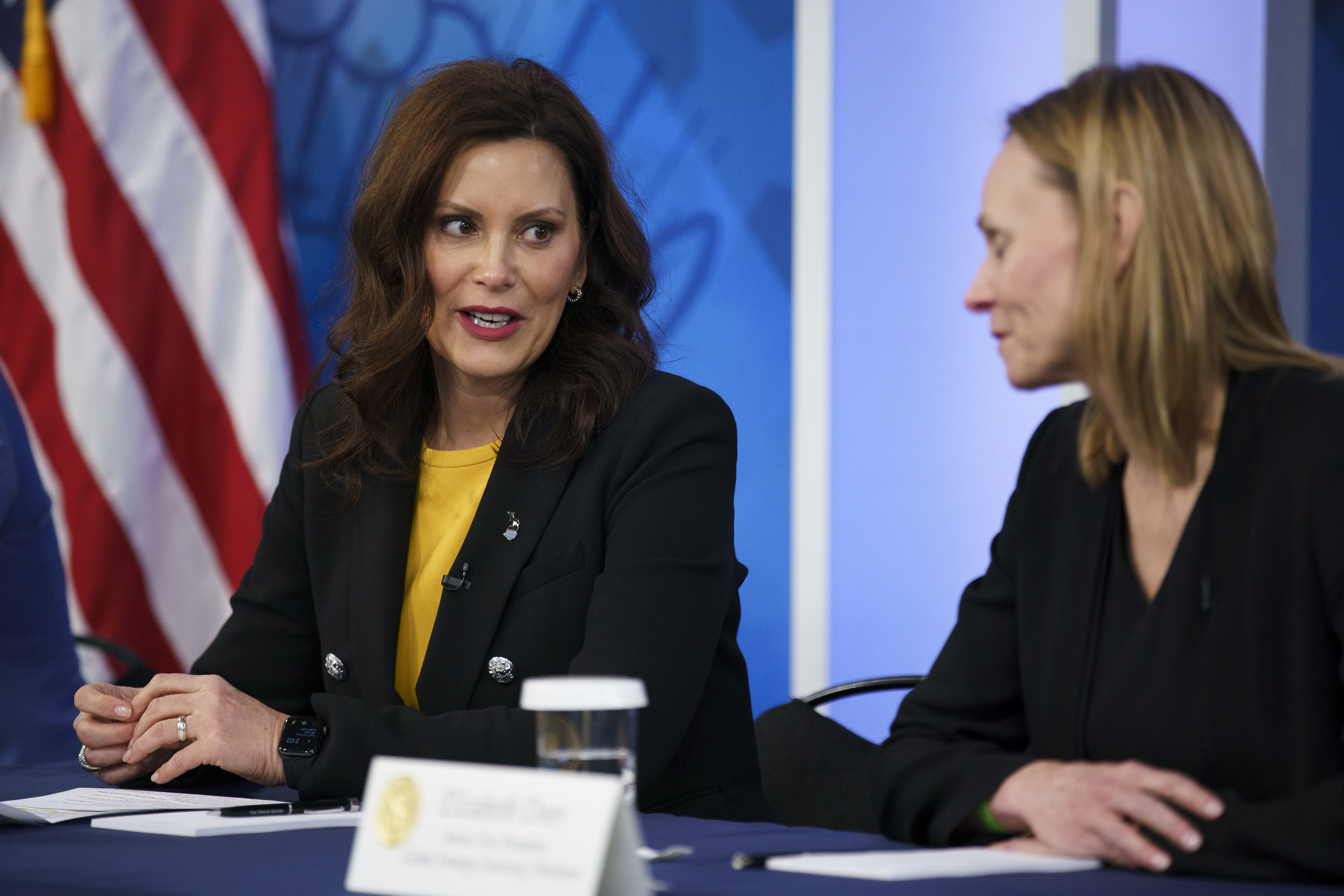 Whitmer Sues To Secure Abortion Rights, Vacate Ban